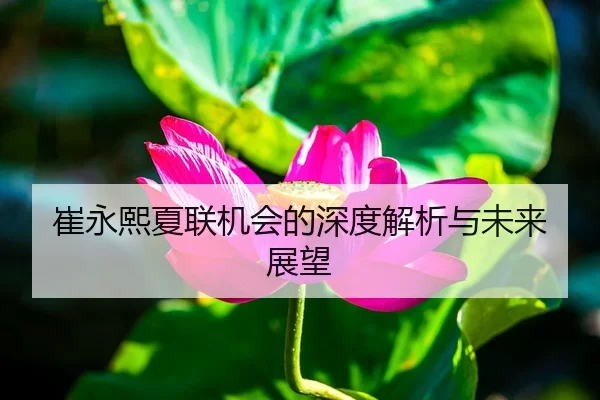 崔永熙夏联机会的深度解析与未来展望